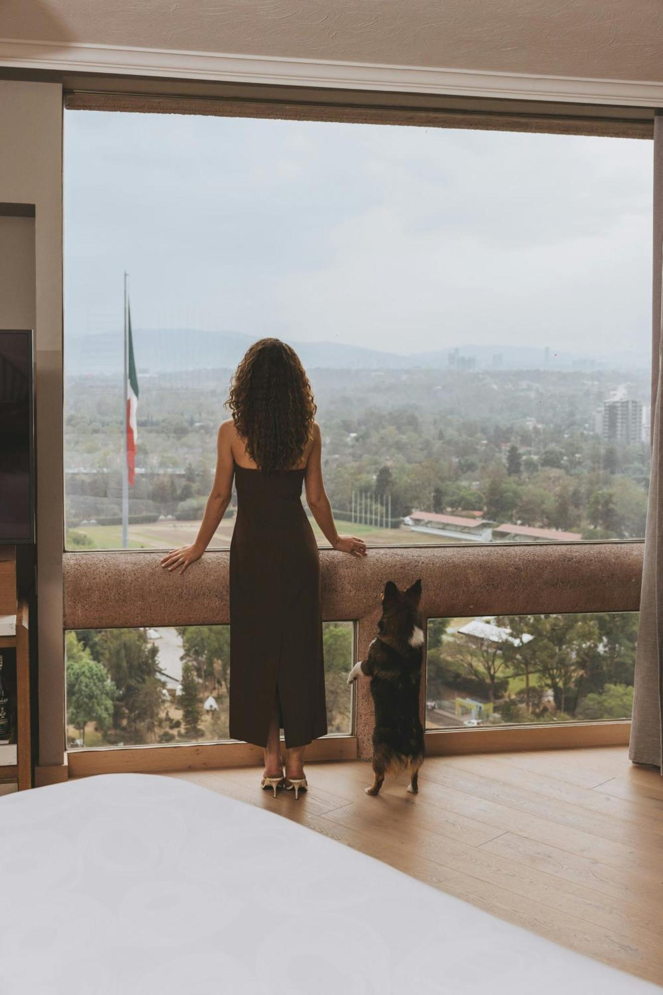 Jw Marriott Hotel Mexico City Polanco Dış mekan fotoğraf